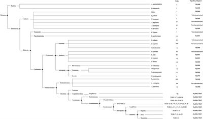 Toll-Like Receptors, Associated Biological Roles, and Signaling Networks in Non-Mammals